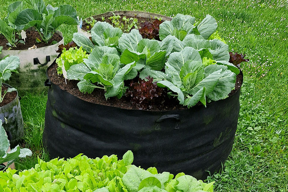sadilna vreča 128 l PlantIN