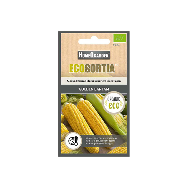 Eko semena sladka koruza Golden bantam.