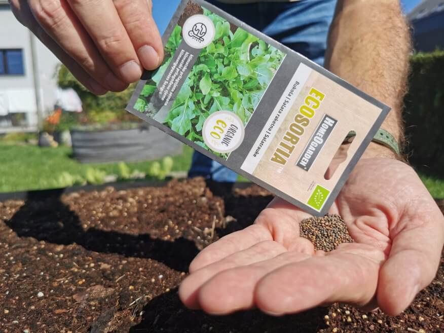 rukola seme ekološko seme rukole ecosortia sejanje rukole na vrtu