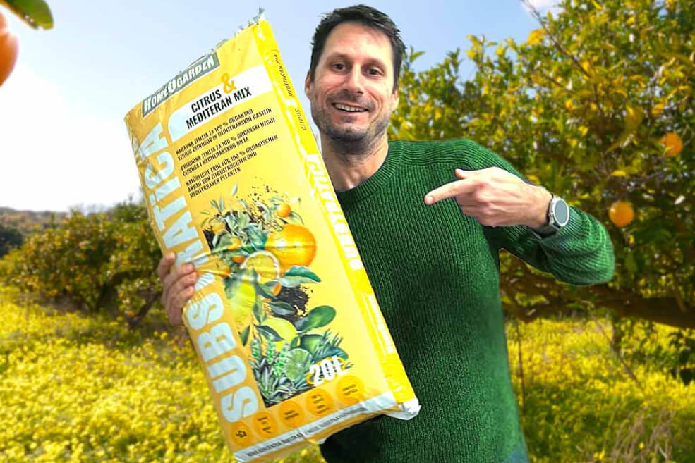 Naravna zemlja za citruse in limone Substratica Citrus Mix 20l je odlična rešitev za gnojenje citrusov in limon